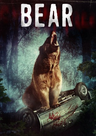 Bear Dual Audio BluRay